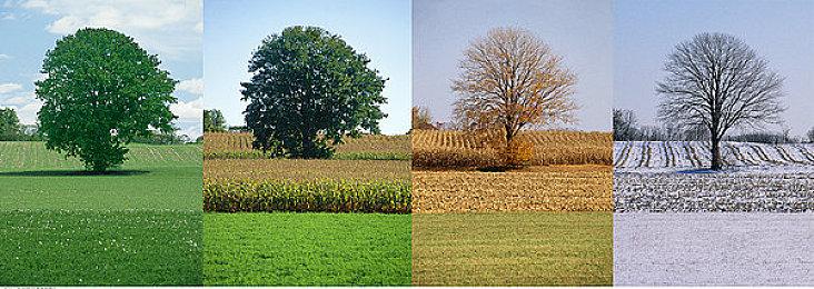 育碧公布上市宣传片庆祝《舞力全开2023》正式发售